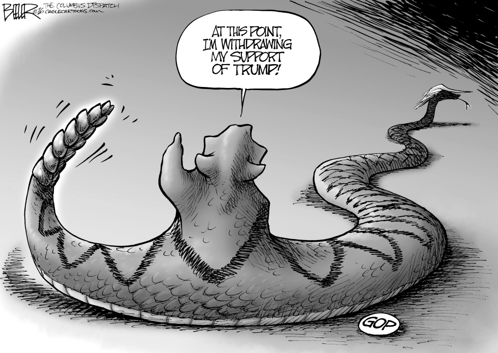 Republican Ssssupport