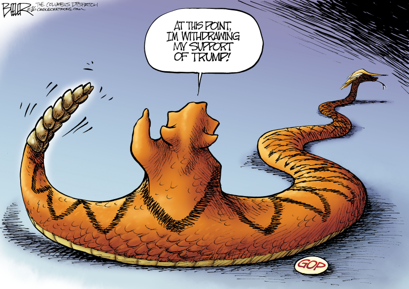 Republican Ssssupport COLOR