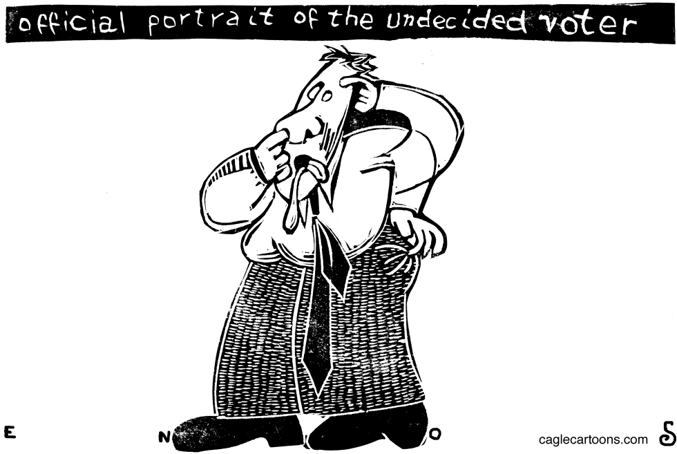 Undecided Voter