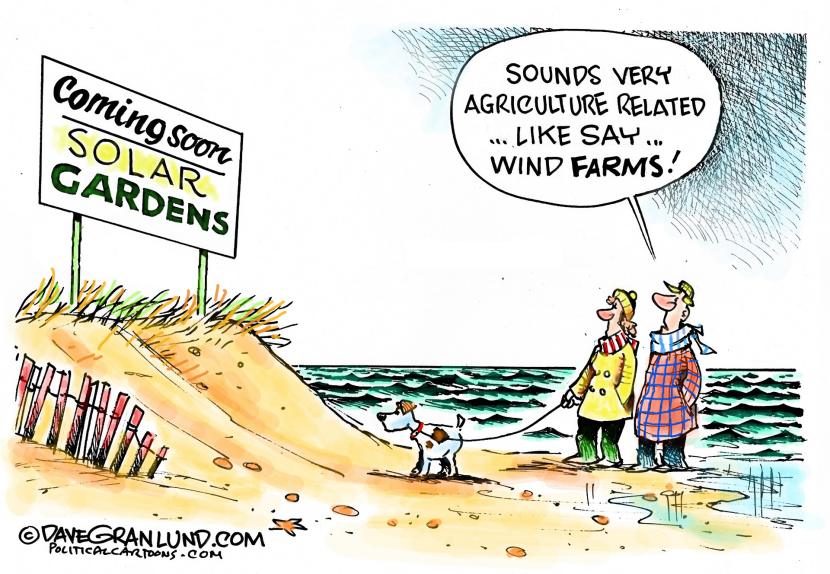 Solar gardens COLOR