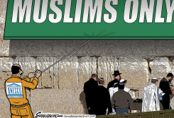 UNESCO AND THE WALL by Steve Greenberg