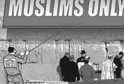 UNESCO AND THE WALL BW by Steve Greenberg