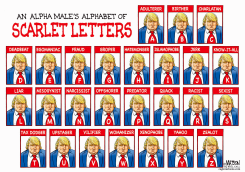 THE TRUMP SCARLET LETTERS by R.J. Matson