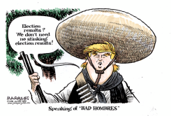 TRUMP AND ELECTION RESULTS by Jimmy Margulies