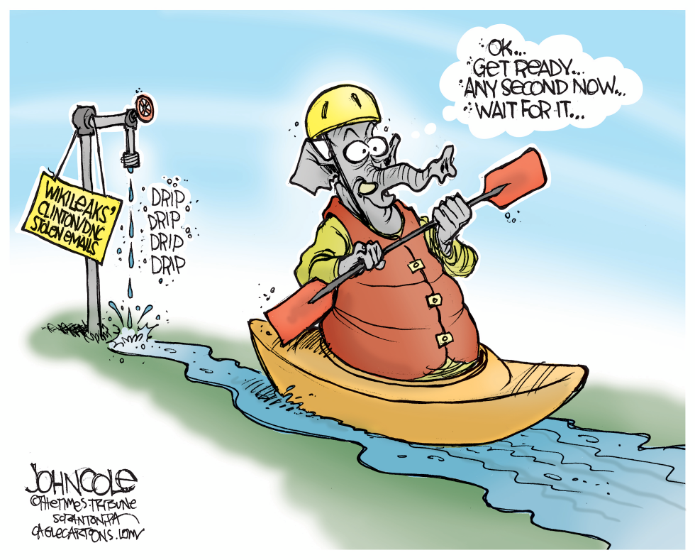Wikileaks kayaker