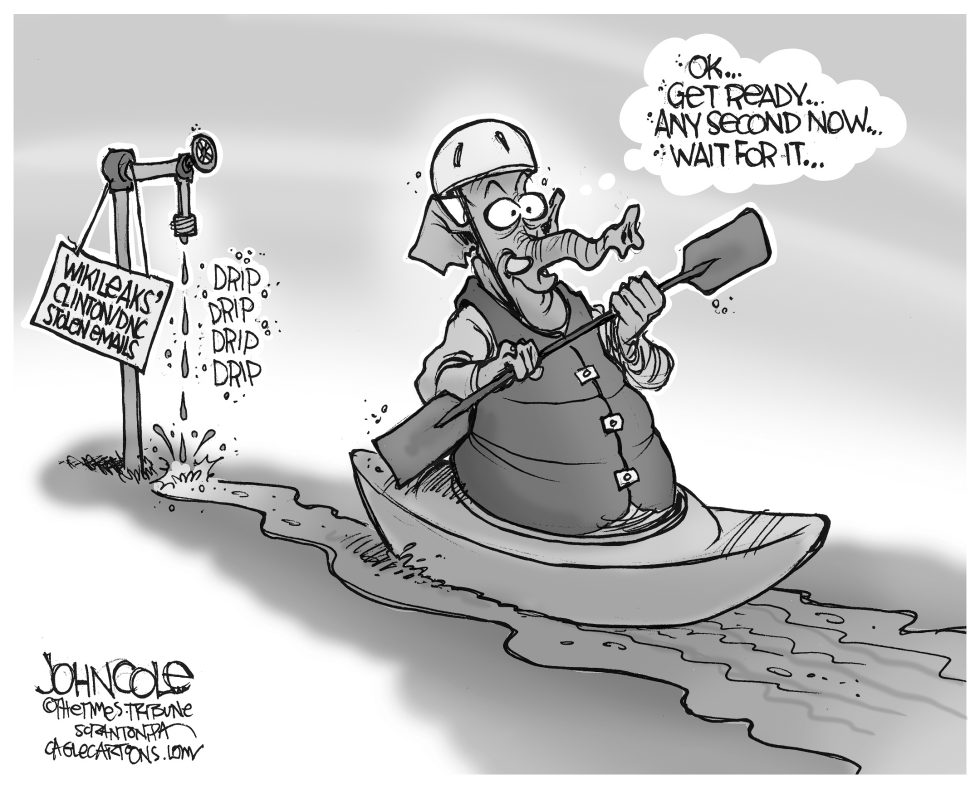Wikileaks kayaker BW