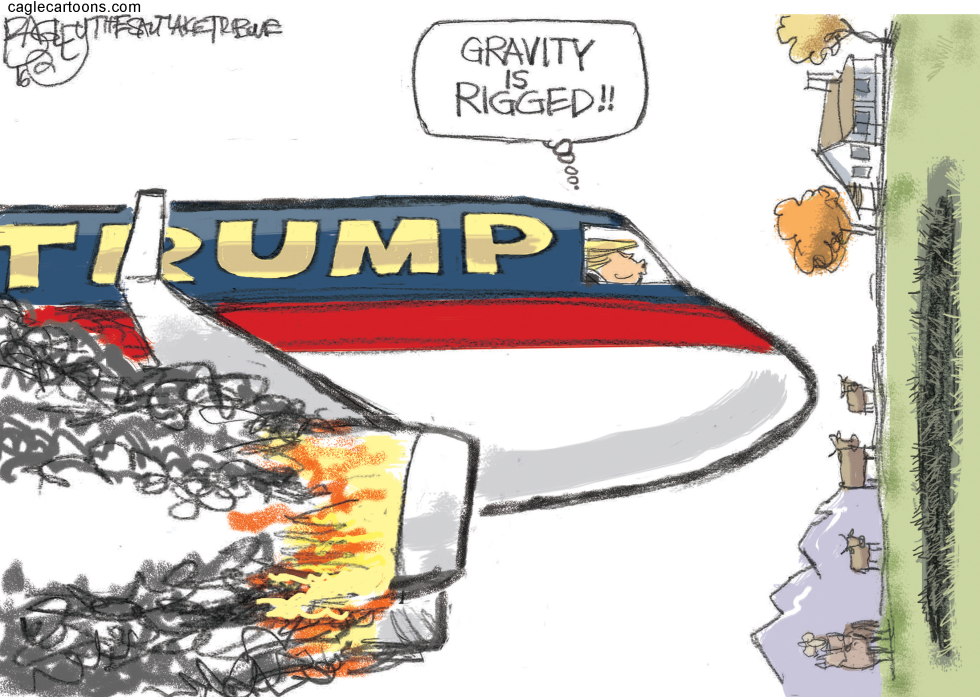 Trump Crash COLOR