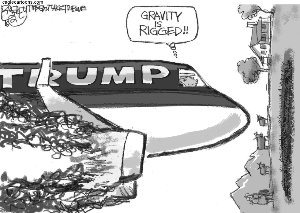 Trump Crash
