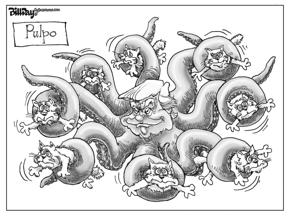 Pulpo