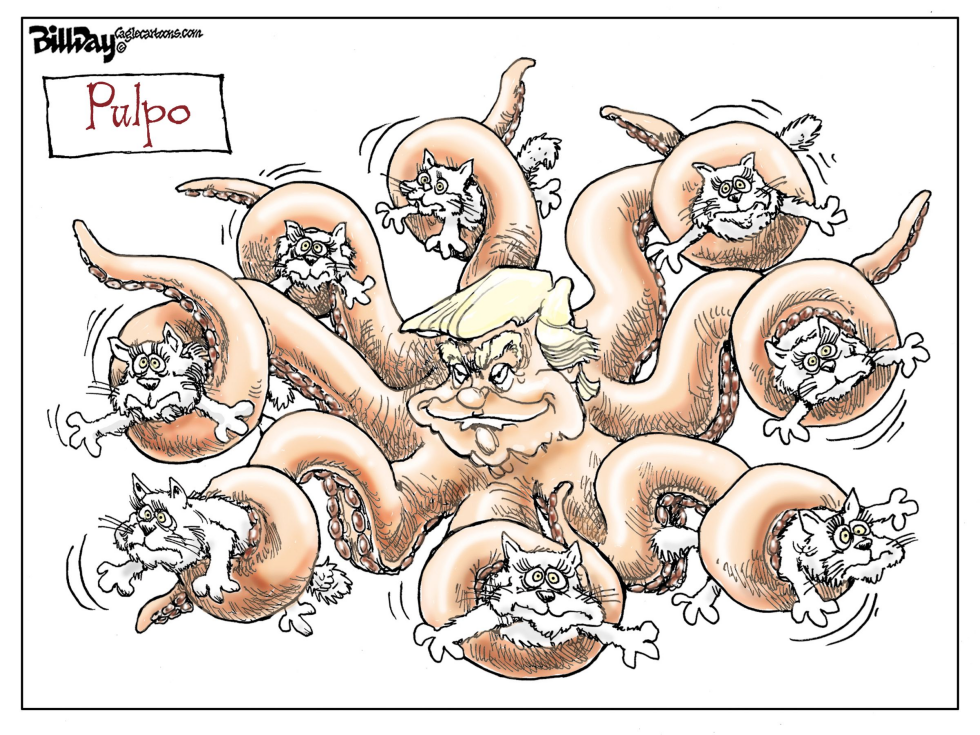 Pulpo / COLOR