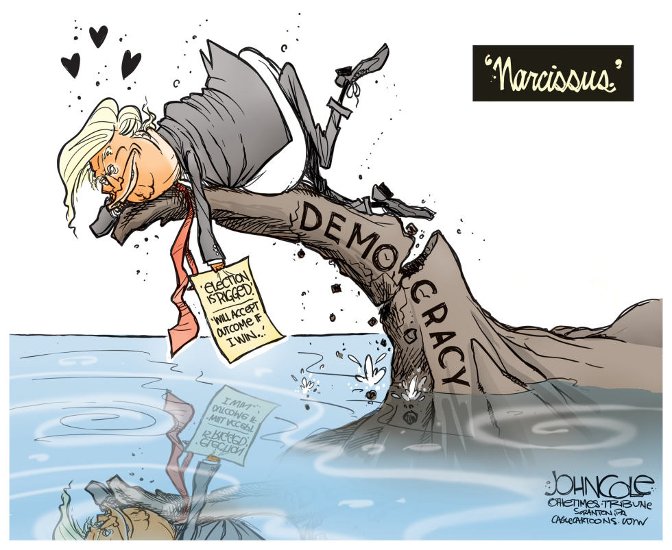 Narcissus