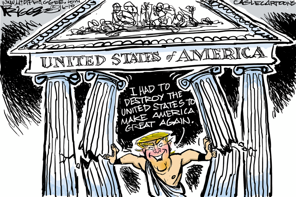 Trump sense