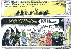 STATE CAPTURE NIGHT by Zapiro