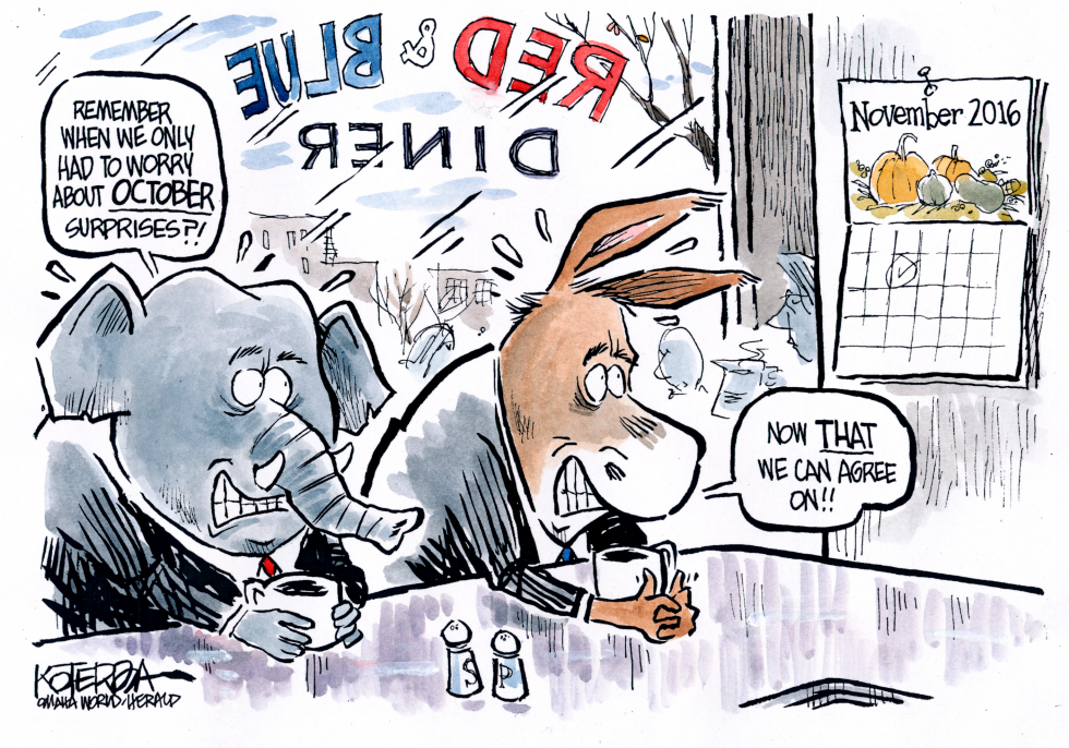 Election Campaign