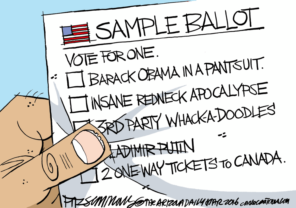  SAMPLE BALLOT by David Fitzsimmons