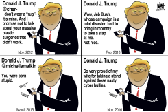 TRUMP CYBER BULLY,  by Randy Bish