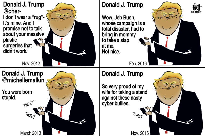 TRUMP CYBER BULLY, COLOR