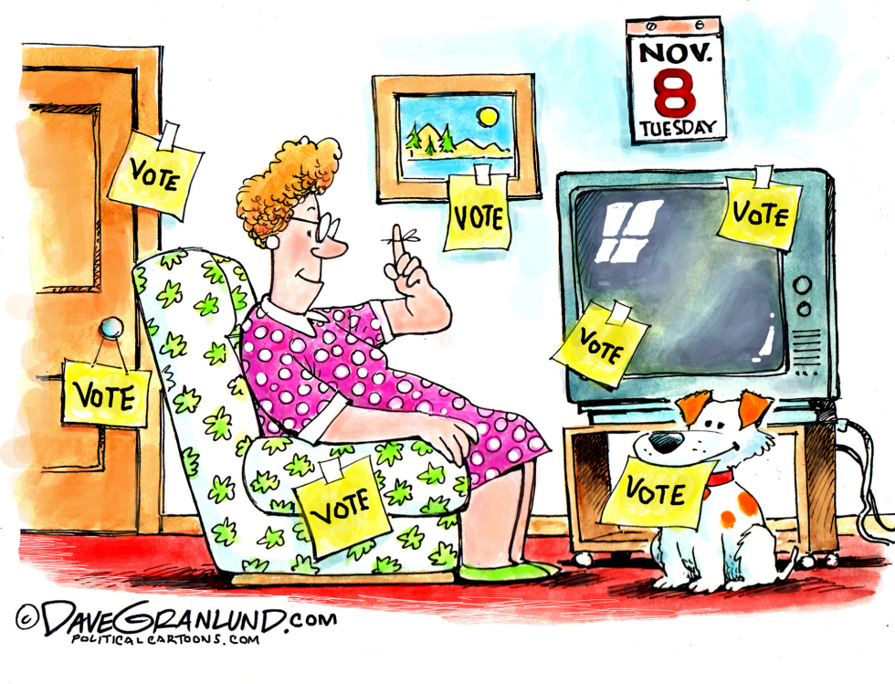 Vote Nov 8 COLOR