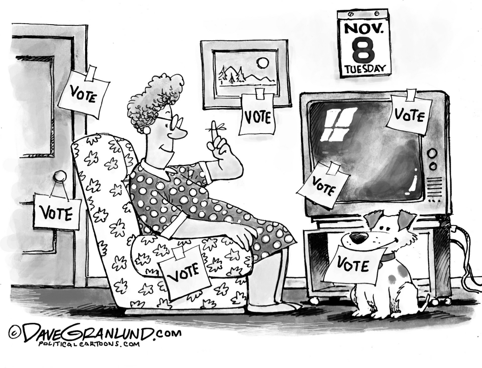Vote Nov 8