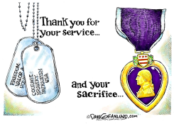 VETERANS SERVICE AND SACRIFICE  by Dave Granlund