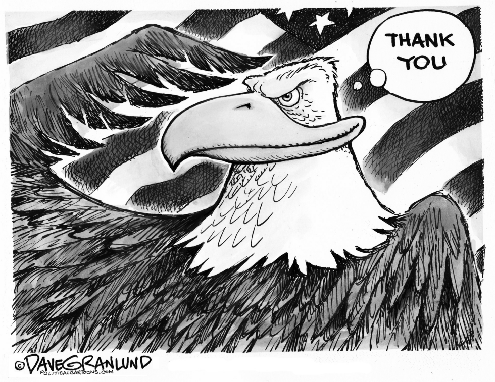 Veterans Day Eagle