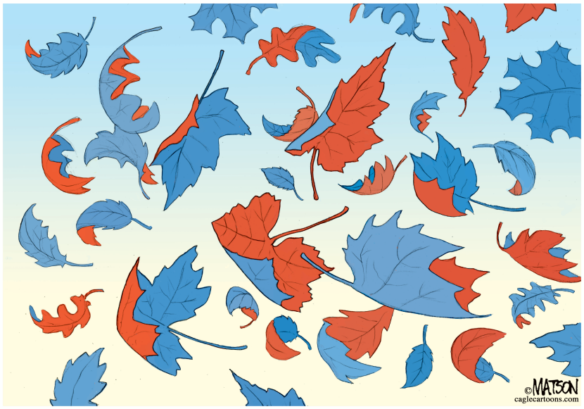 Turning Leaves Mark End of Fall Campaign
