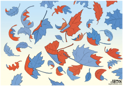 HOJAS CAYENDO MARCAN EL FIN DE LA CAMPAñA DE OTOñO by R.J. Matson