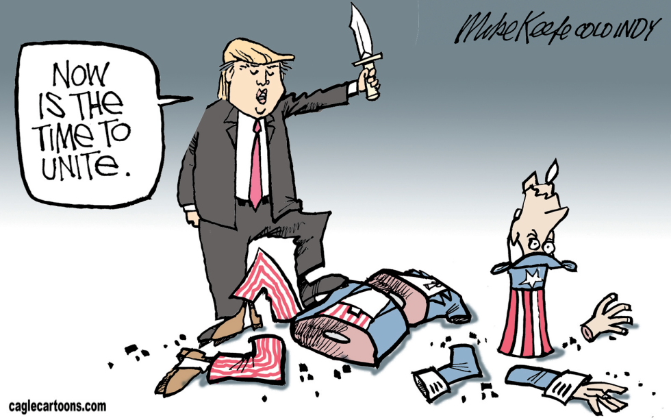 Trump Wins COLOR
