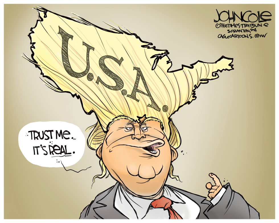 Trump hairdo