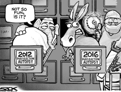 ELECTION AUTOPSY by Steve Sack