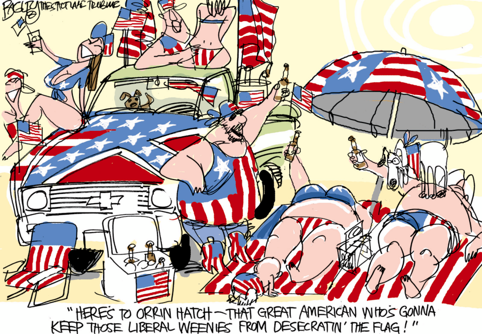 Flag Desecration
