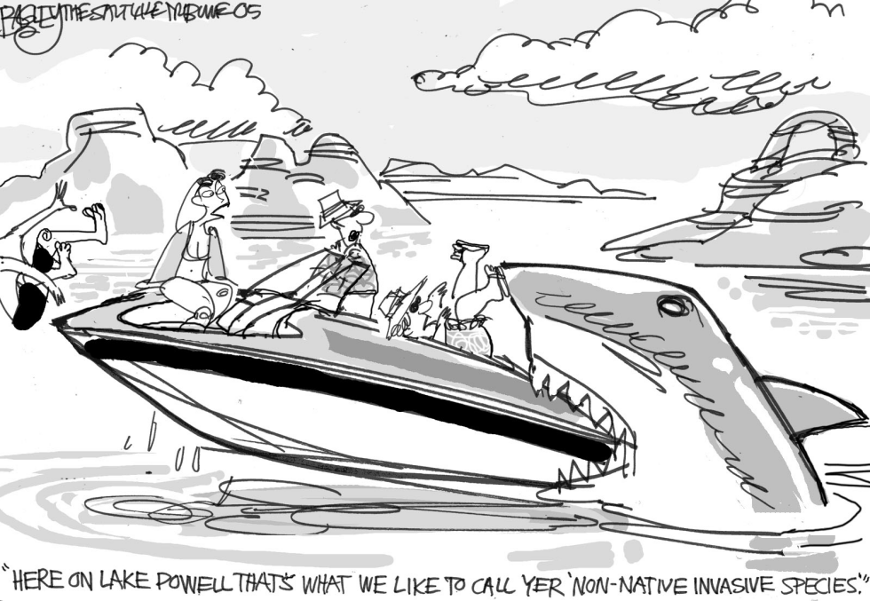  INVASIVE SPECIES ON LAKE POWELL by Pat Bagley