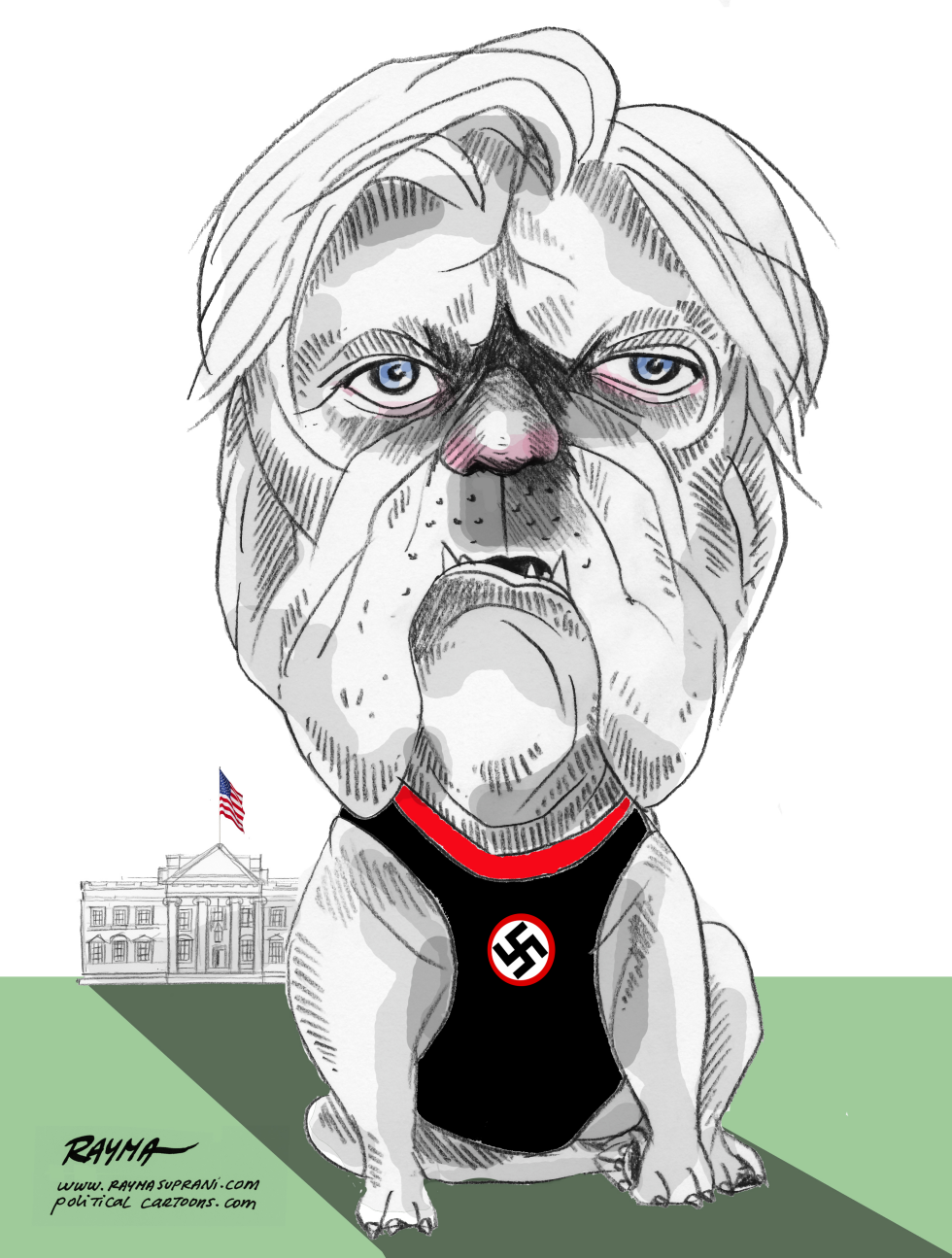  STEPHEN BANNON BREITBART by Rayma Suprani