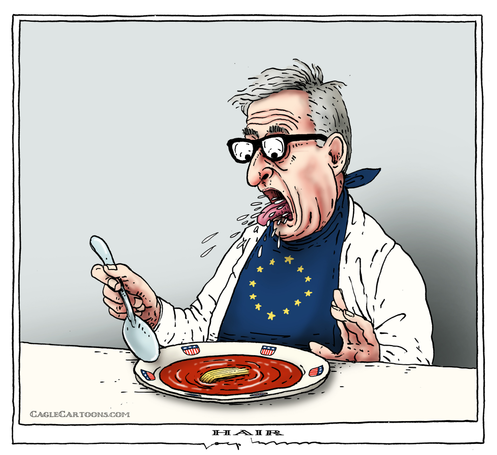 hair in my soup