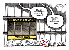 TRUMP TRANSITION TEAM  by Jimmy Margulies