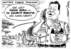 CHINESE TAKEAWAY by Zapiro