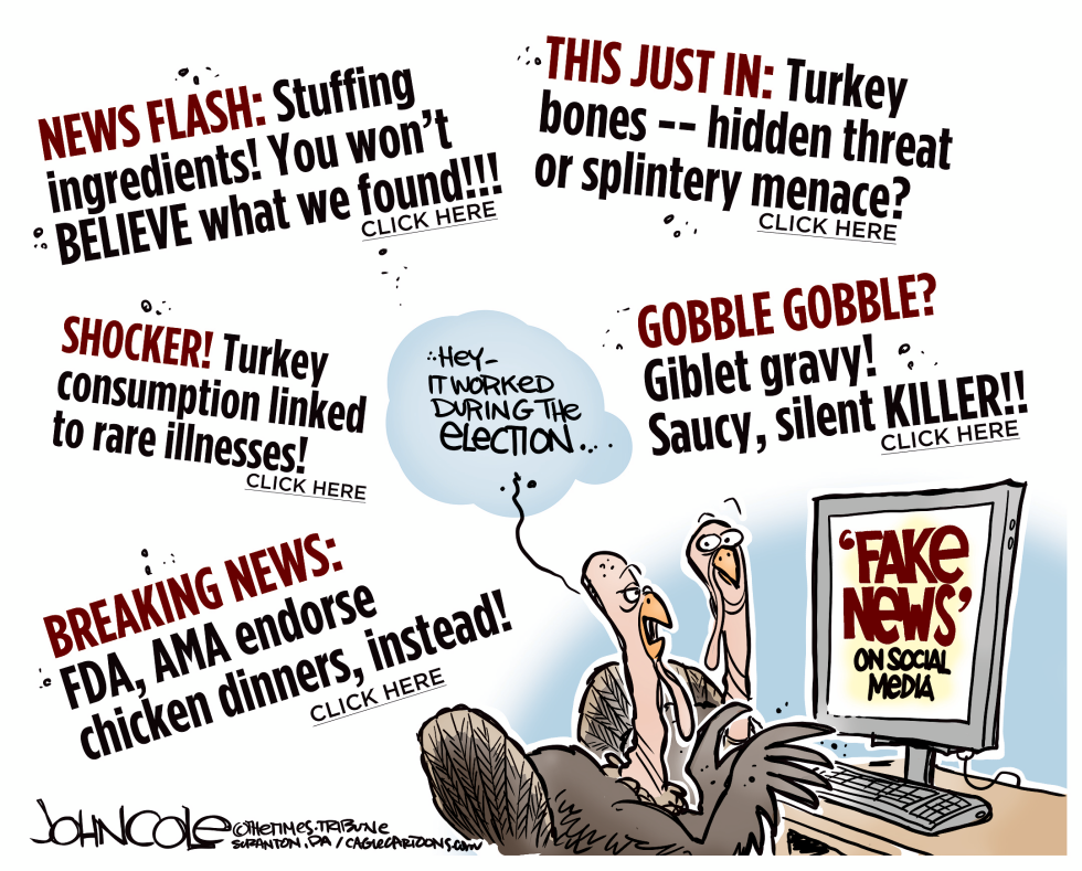Fake news turkeys