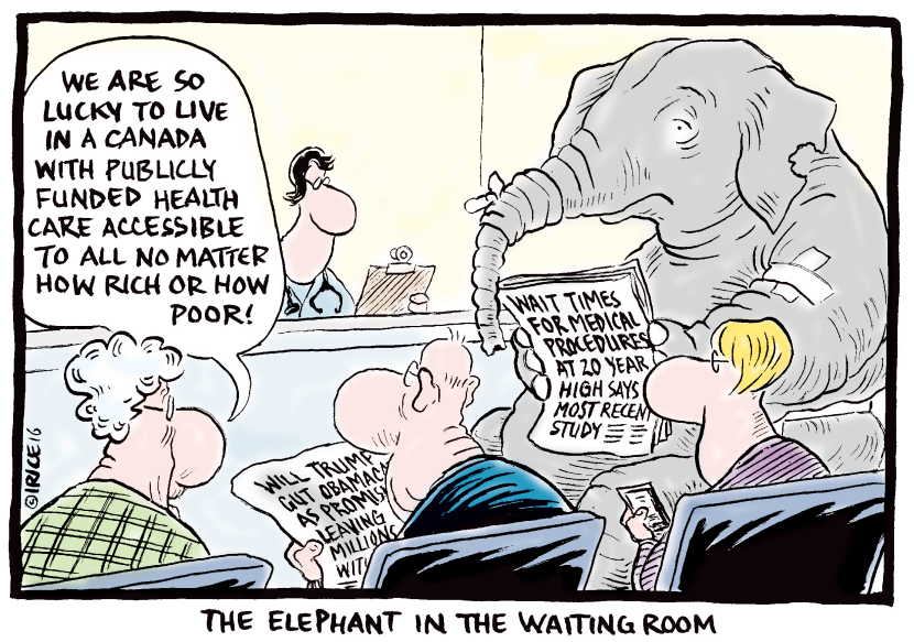 Elephant in the Waiting Room