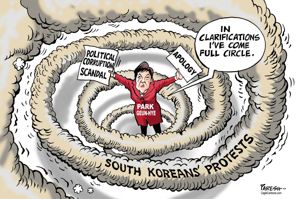  SOUTH KOREAN PROTESTS by Paresh Nath