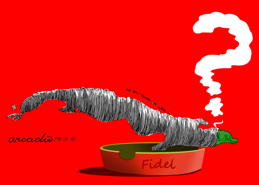 And after Fidel/Y después de Fidel