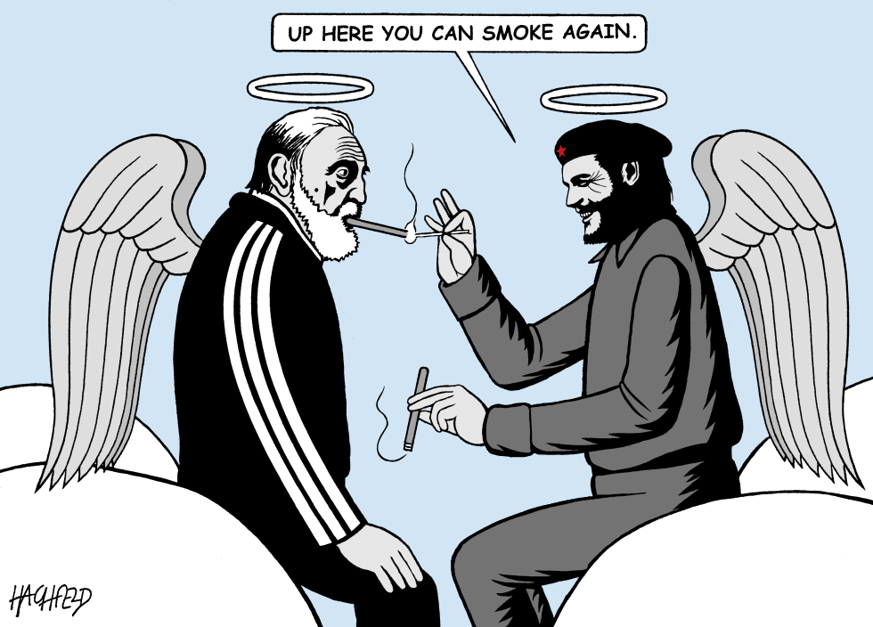 Fidel and Che