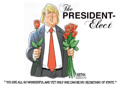 THE PRESIDENT ELECT SELECTS A SECRETARY OF STATE by R.J. Matson
