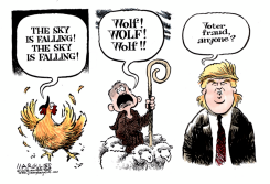 TRUMP BOGUS CLAIM OF VOTER FRAUD  by Jimmy Margulies