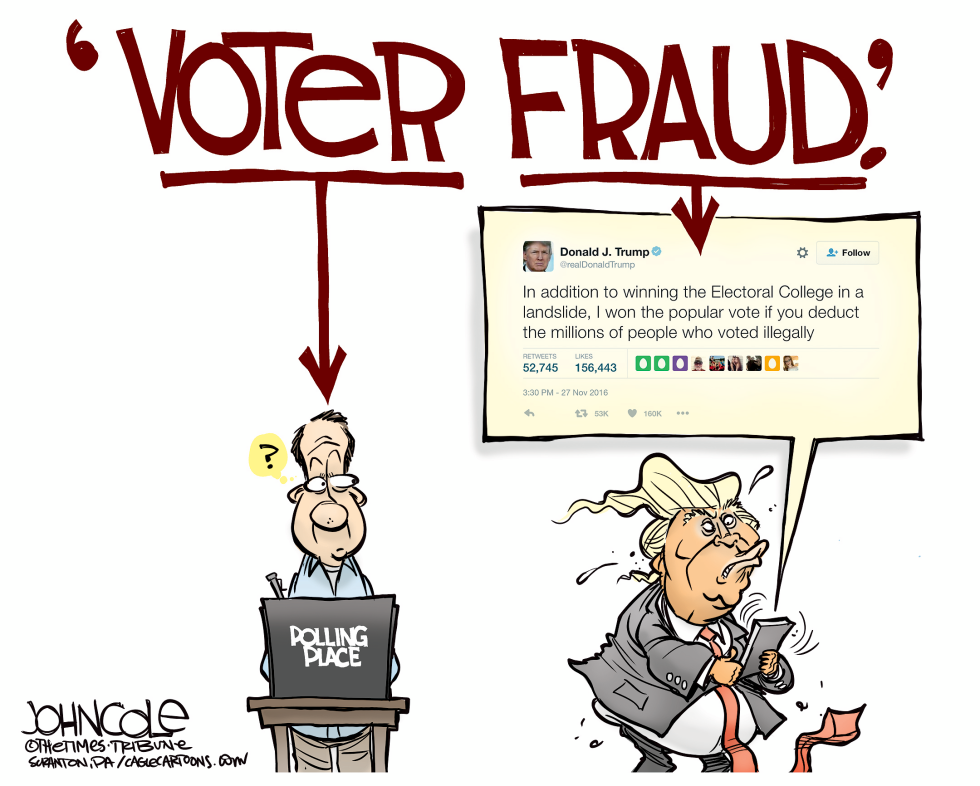 The voter and the fraud