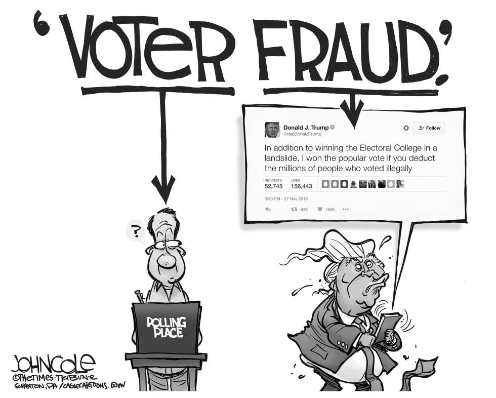 The voter and the fraud BW