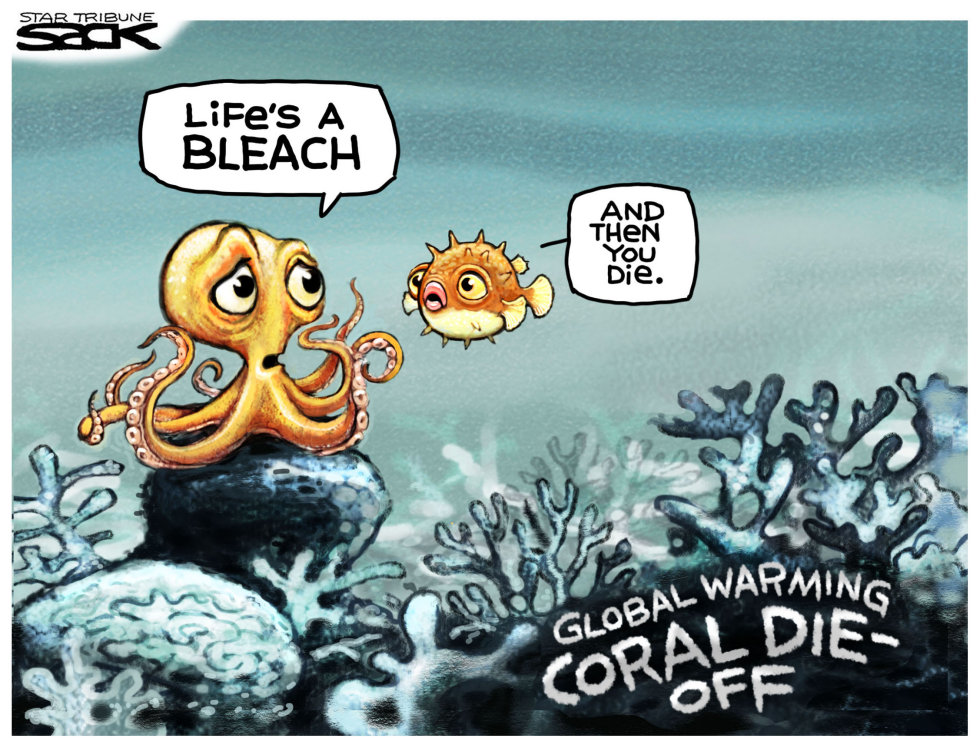 Coral Bleaching