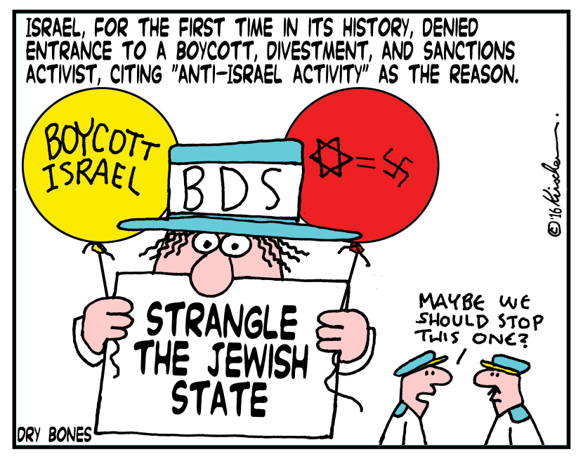 The BDS Activist