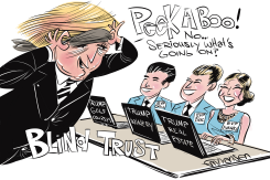 TRUMP BLIND TRUST by Frank Hansen