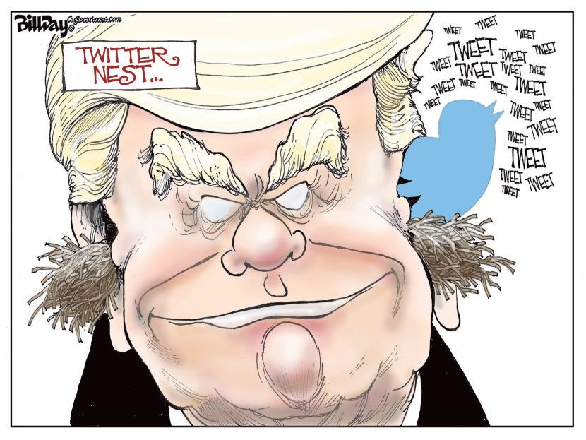 TWITTER NEST