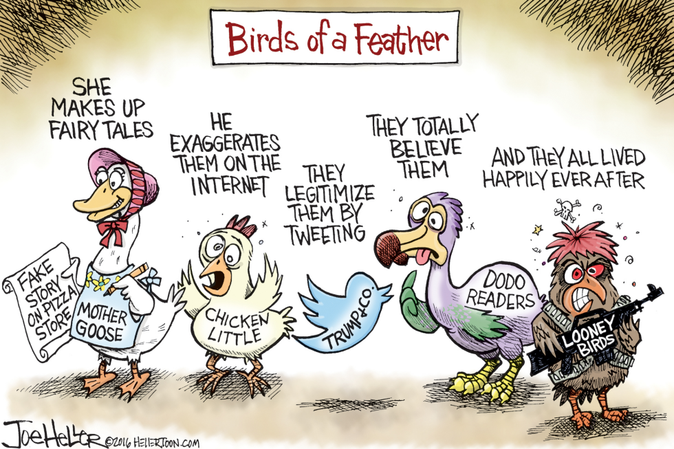 Birds of a feather